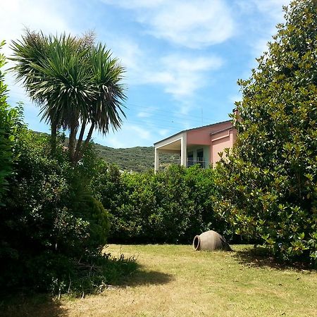 Villa Magnolia Ioannina Luaran gambar